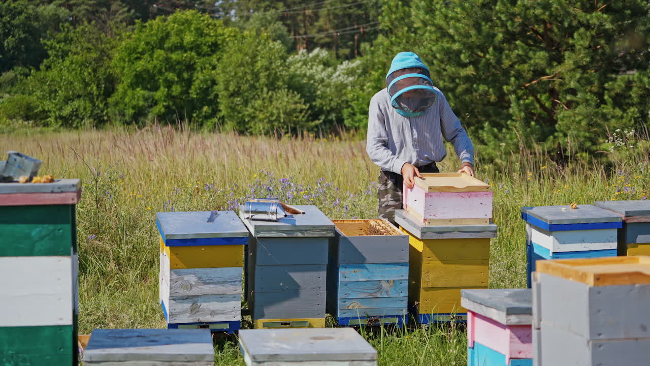 Apiculture process. Beekeeper in protective hat working with wooden boxes. Apiarist inspects bees in the beehive in the garden. Apiary in summer.