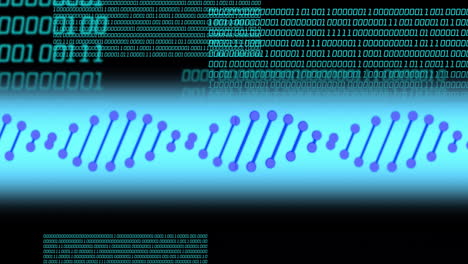 animación de la cadena de adn sobre el procesamiento de datos en fondo negro
