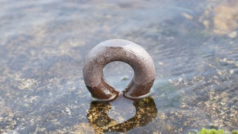 old mooring ring on shore