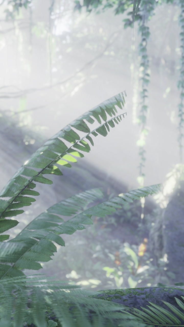 Sunlight shines through leaves in a forest setting during morning hours