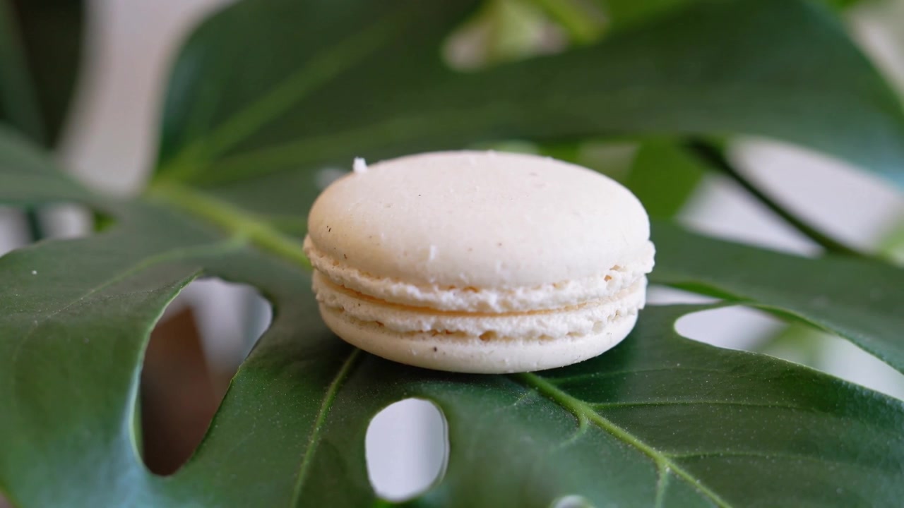 Pushing camera forward, focusing beige macaron on monstera leaf on tabletop to highlight texture