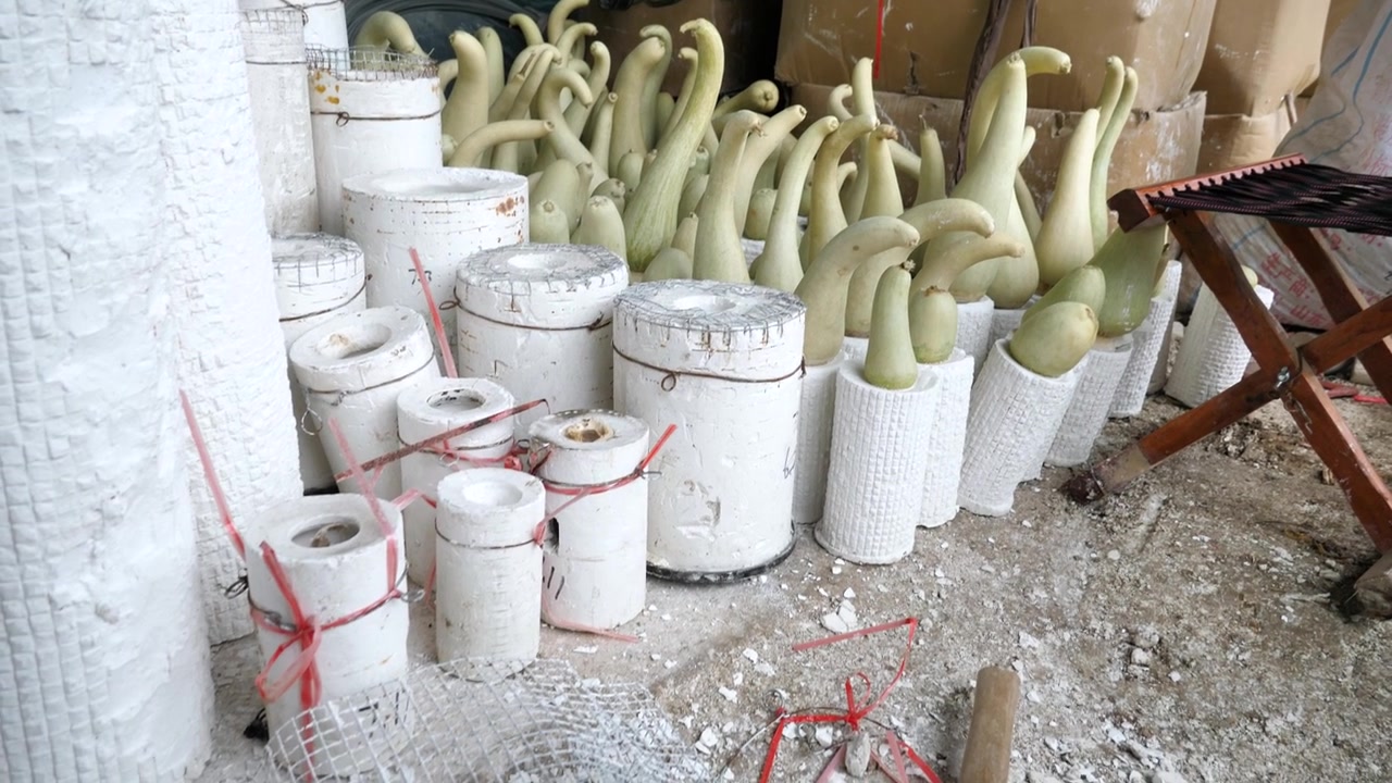 Zucche Hulu in stampi di gesso in una serra a Liaocheng, Cina