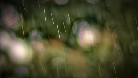 Der-Himmel-öffnet-Sich-Und-Lässt-Warmen,-Starken-Regen-Fallen,-Der-Die-üppige-Vegetation-Badet