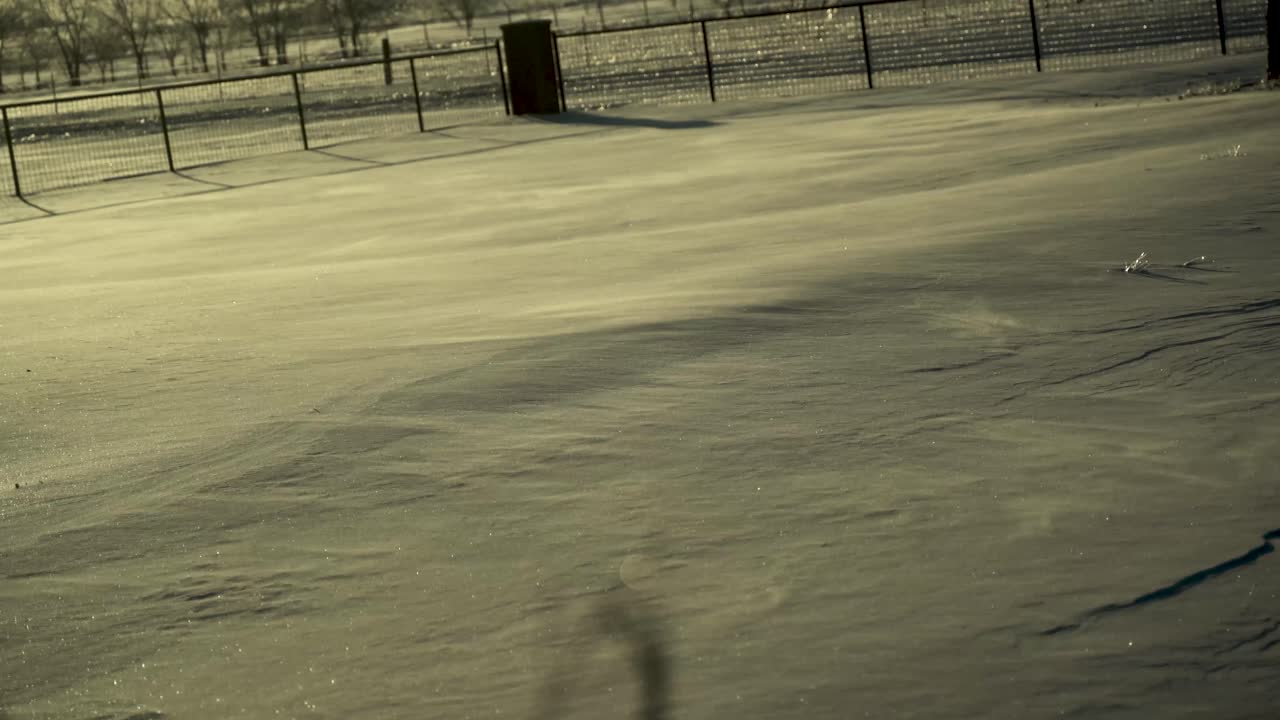 Powdery snow drifts along the surface of one foot of snow after a vicious winter storm in this smooth steady shot