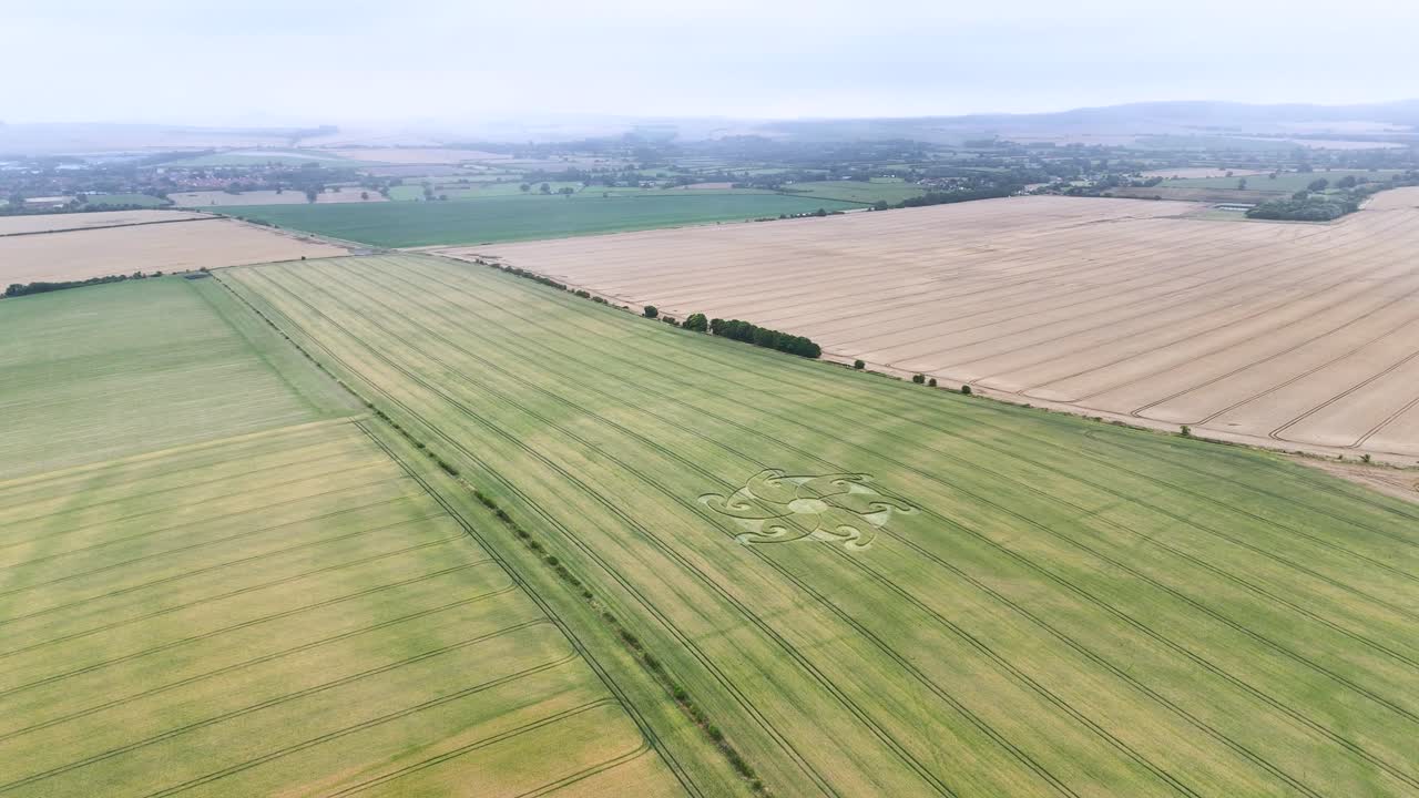 etchilhampton спиральный цветок пшеничный посевной круг воздушный вид кружащий уилтсшир сельскохозяйственные сельскохозяйственные угодья