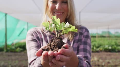 Video-of-happy-caucasian-woman-holding-seedling