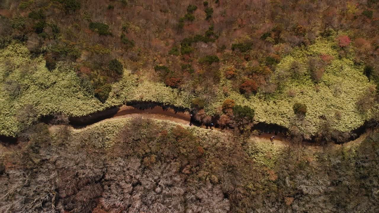 antena aérea sobre personas en una ruta de senderismo en un entorno verde al aire libre
