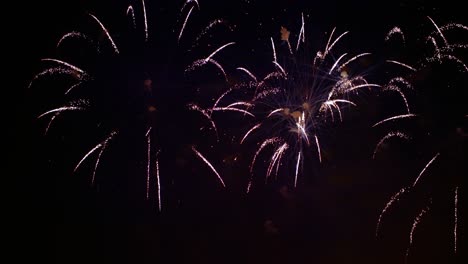 colorful fireworks exploding in the night sky. celebrations and events in bright colors.