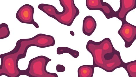 animación abstracta de formas orgánicas rojas que se mueven sobre un fondo blanco. fondo animado de bucle, papel tapiz.