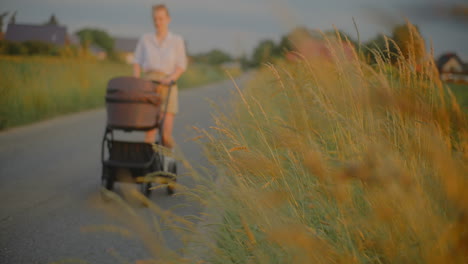woman walking with baby stroller in blooming park