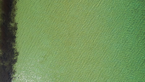 aerial shot looking sown at the shallow turquoise sea, starting low and rising up on a bright summers day