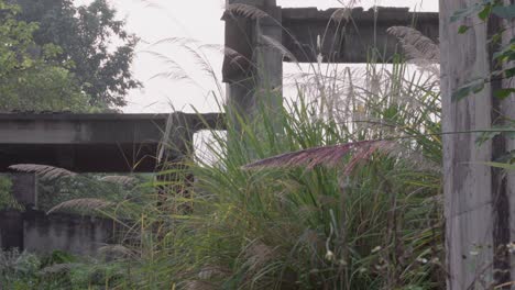 The-sunset-shines-on-the-barren-grass-of-the-abandoned-factory