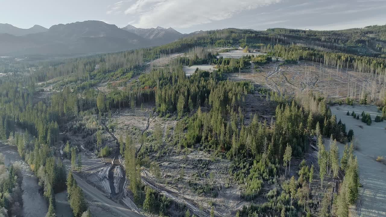 avance aéreo sobre bosques destruidos por la deforestación en witów, polonia