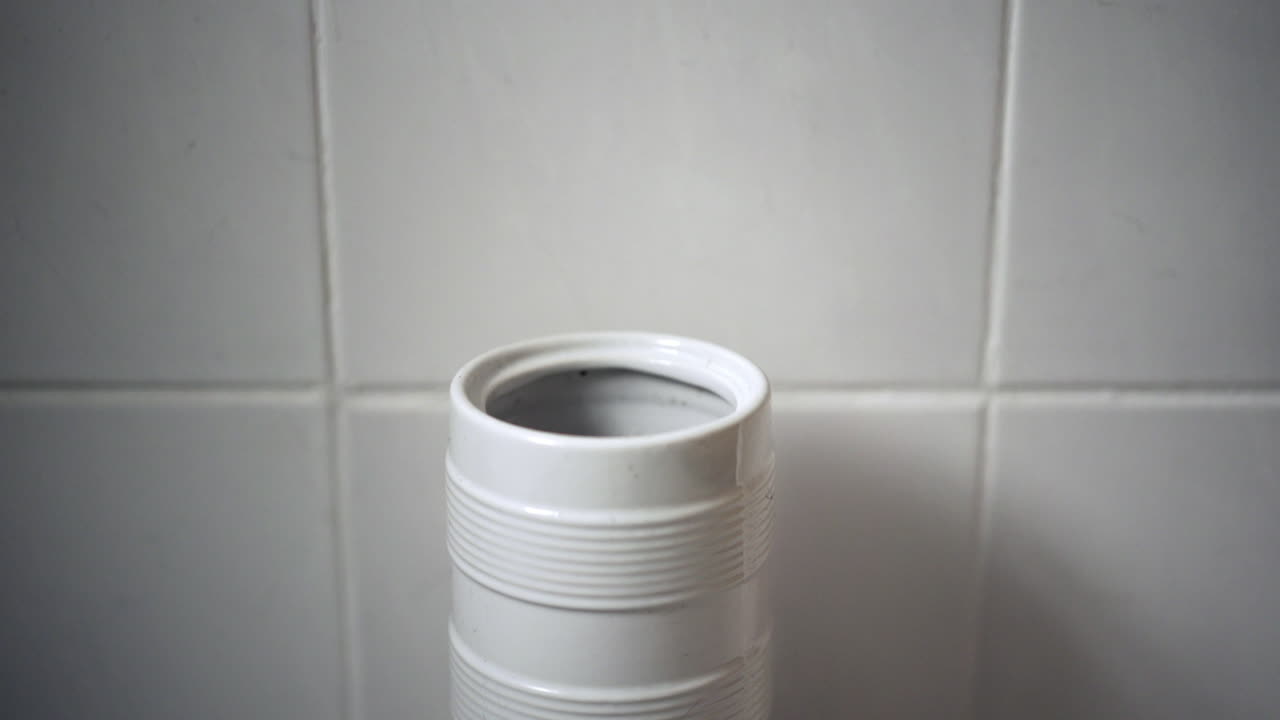 escobilla de baño entrando y saliendo del soporte