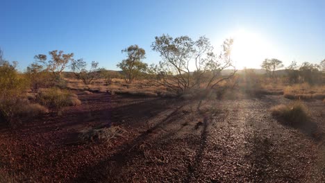 shadows of trees and plants in karijini national park at sunset
