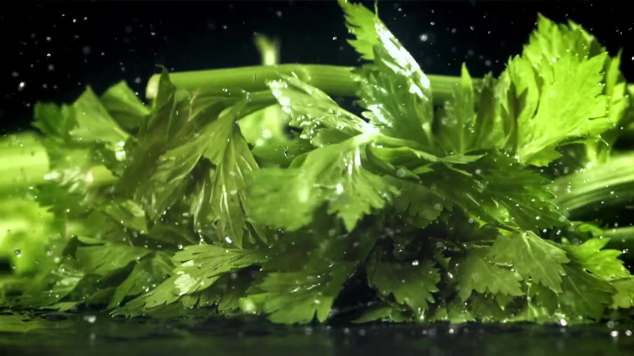 Fresh Green Celery Falling onto a Wet Surface with Water Splashes