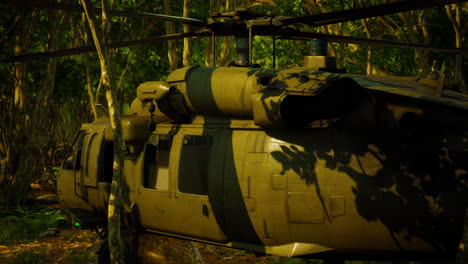 military helicopter in deep jungle