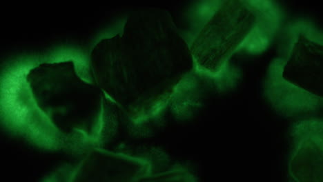 micelio bioluminiscente verde que se mueve muy suavemente