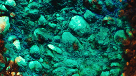 close-up view of textured rocks