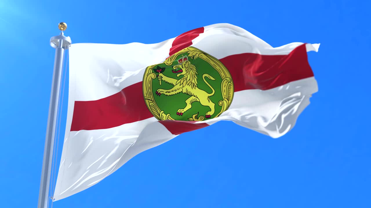 푸른 하늘과 함께 바람에 흔들리는 알더니의 발, 루프