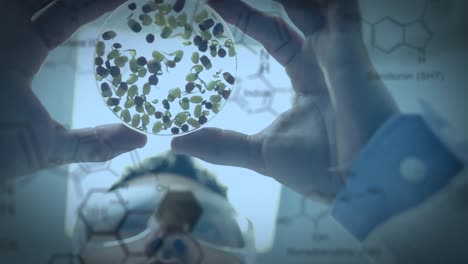 Scientist-examining-a-petri-dish