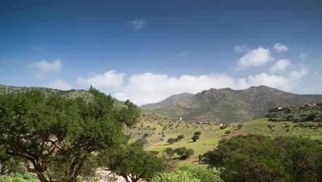 valle de argán 03