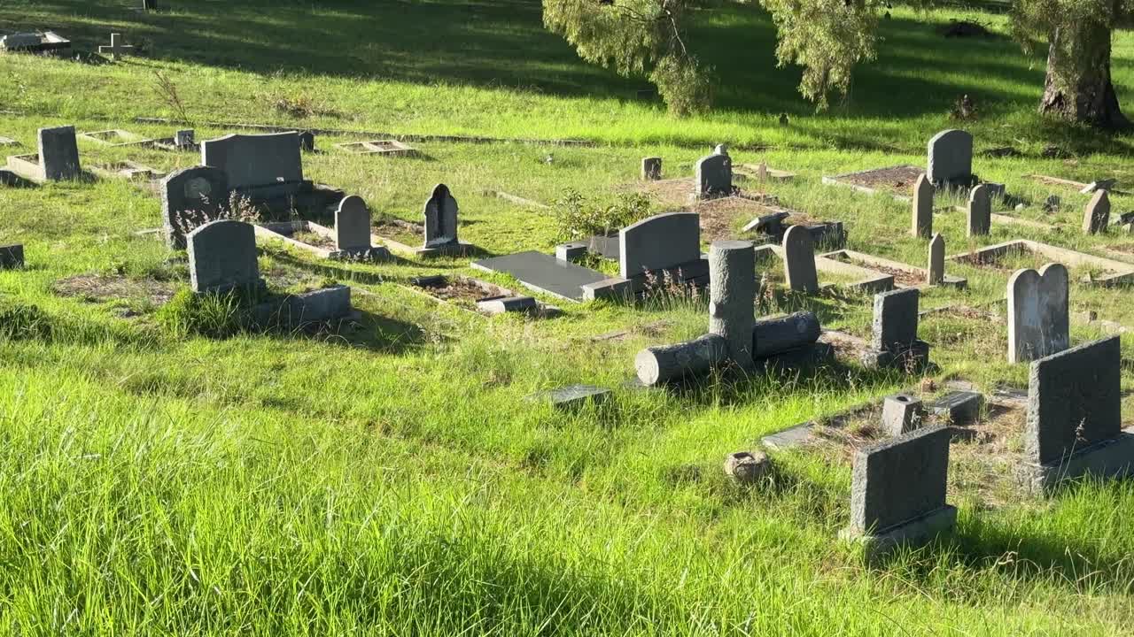 Graveyard in a old field