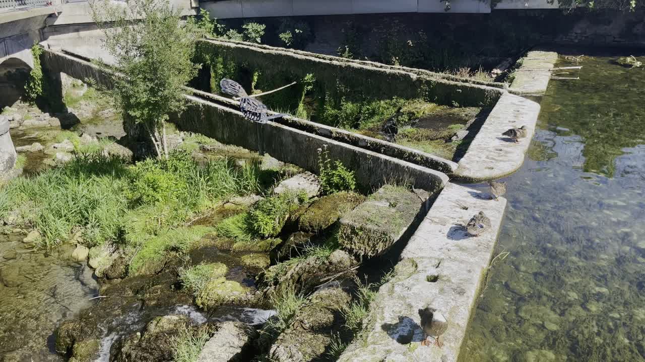 lago con patos con viejas tuberías de agua romanas mucho musgo en una ciudad en francia