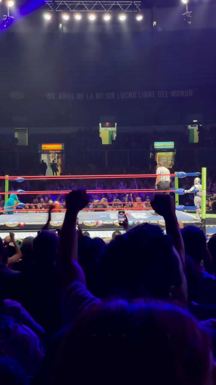 Wrestlers fighting in pro wrestling ring in Arena Mexico CMLL. Masked wrestlers. Mexican culture. Vertical