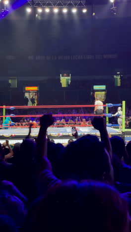 wrestlers fighting in pro wrestling ring in arena mexico cmll. masked wrestlers. mexican culture. vertical