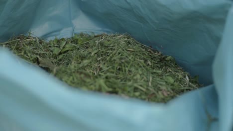 Sack-of-freshly-cut-grass