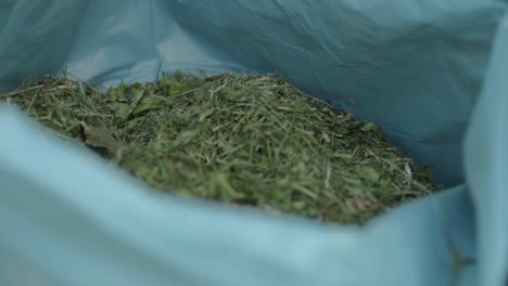 saco de hierba recién cortada