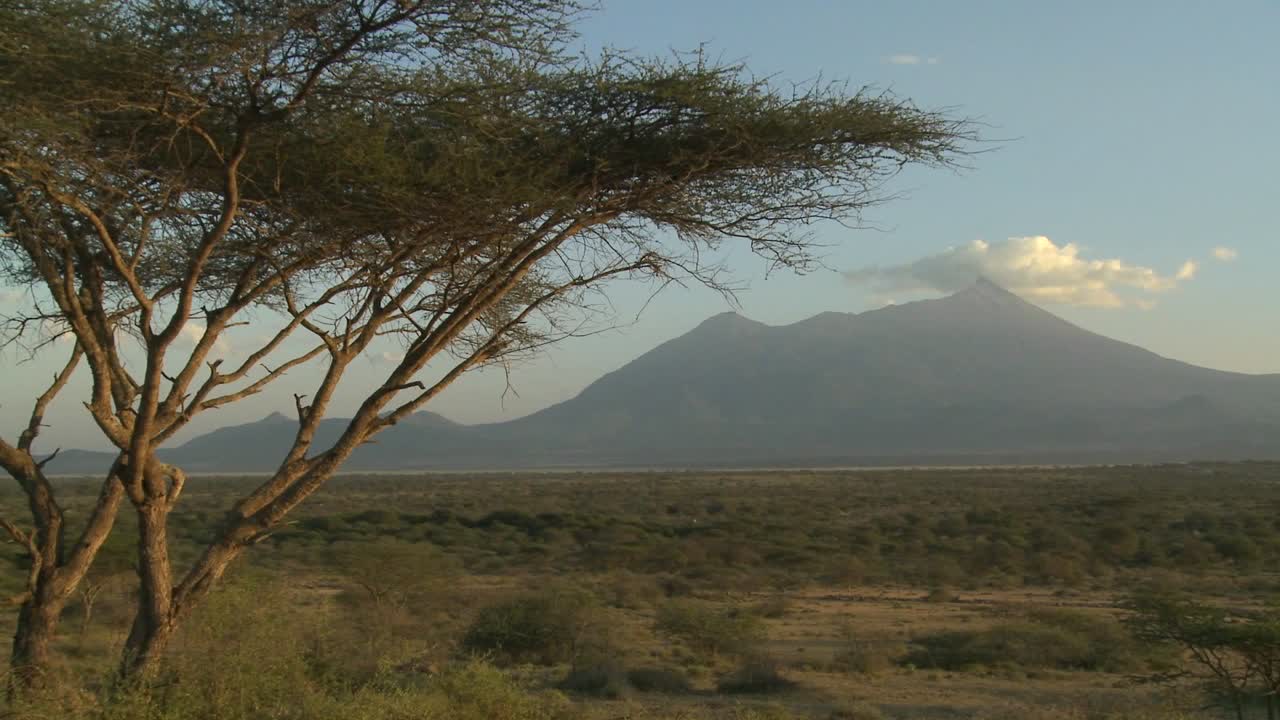 Il Monte Meru in lontananza attraverso la savana della Tanzania