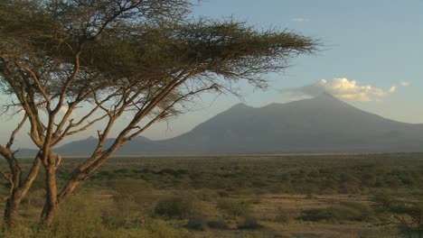 mt meru en la distancia a través de la sabana de tanzania 1