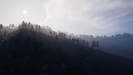 Montañas-Tatras-Cubiertas-Por-Bosques-De-Pinos-Verdes