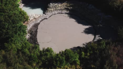 hidden geothermal hot mud pool surrounded by trees in new zealand