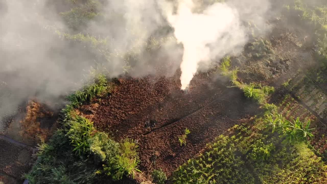 Burning Branches in Field, Malawi Locals Working in Agricultural Land