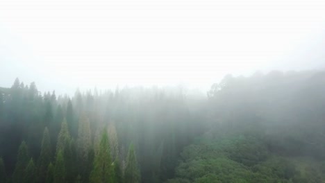 Hawaii---Pequeña-Caminata-Con-El-Dron-Bajo-La-Lluvia-Y-La-Niebla-Parte-2