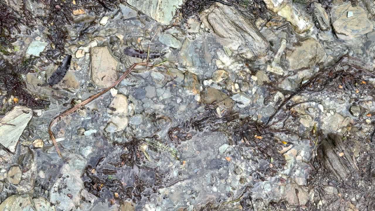 Shallow stream water flows over textured rocks, natural daylight, static camera, tranquil mood