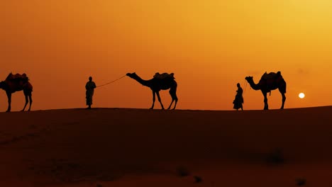 Cameleers,-camel-Drivers-at-sunset.-Thar-desert-on-sunset-Jaisalmer,-Rajasthan,-India.