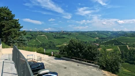lush vineyards under a bright blue sky