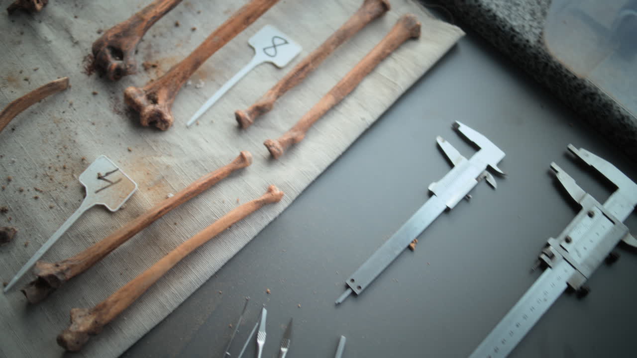 herramientas de recolección de huesos y talleres