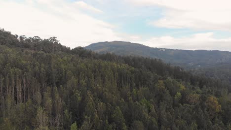 Aerial-view-over-a-green-forest-on-a-hill-in-Yercaud,-drone-flying-up,-conservation-concept