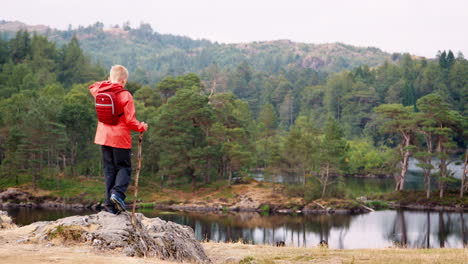 A-boy-balancing-on-a-rock-by-a-lake-admiring-the-view,-on-the-left-hand-side-of-frame,-back-view,-Lake-District,-UK