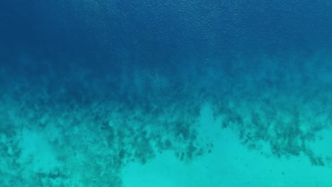 Vista-Aérea-De-Arriba-Hacia-Abajo-A-Vista-De-Pájaro-A-Través-Del-Arrecife-Del-Océano-Caribeño-Desde-Curazao,-De-Arena-A-Azul-Profundo