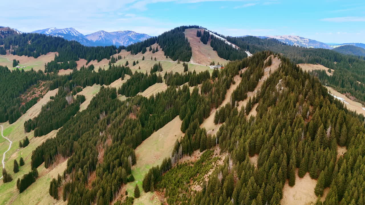 Beautiful fluffy pine trees grow on the slopes of the mighty mountains. Drone footage over the stunning nature of Bavaria, Germany.