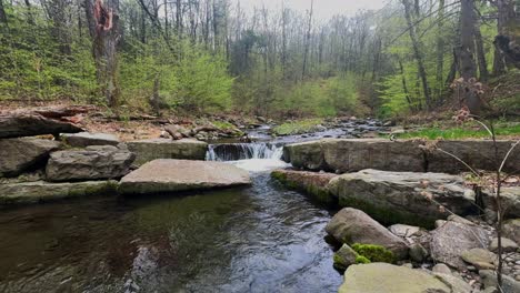 Beautiful,-slow-motion-footage-of-a-little-waterfall-in-the-Appalachian-mountains-during-early-spring