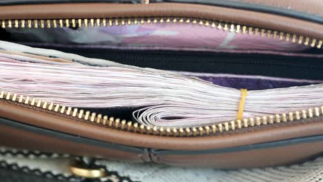 dinero en un bolso marrón
