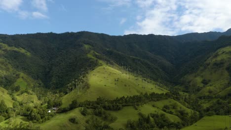 vista aérea de vuelo hacia atrás con palmeras de cera en la distancia
