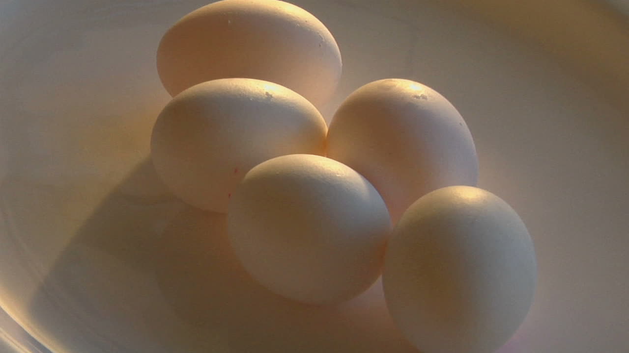 황금 알을 천천히 확대